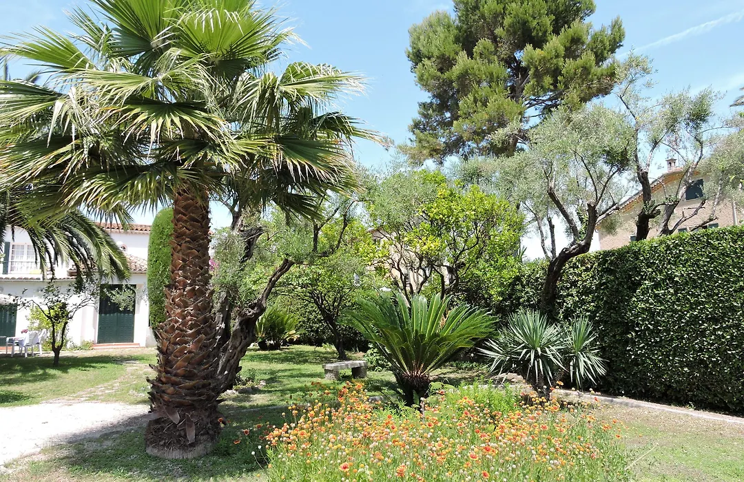 Hotel Mas Djoliba-1