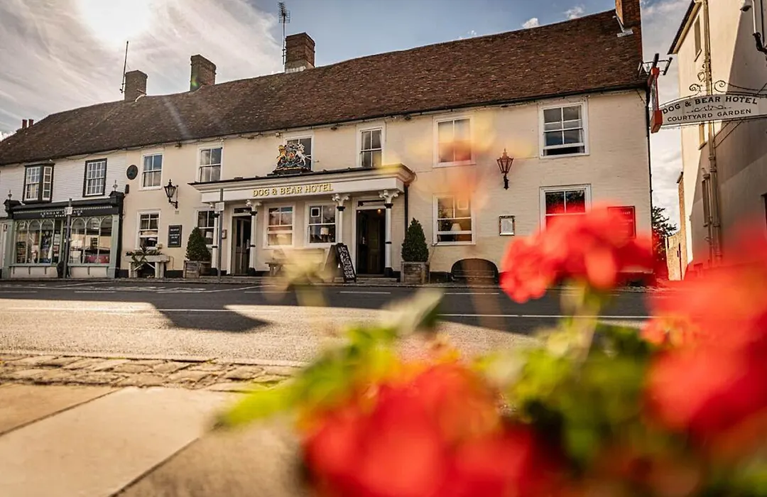 The Dog & Bear Hotel-1