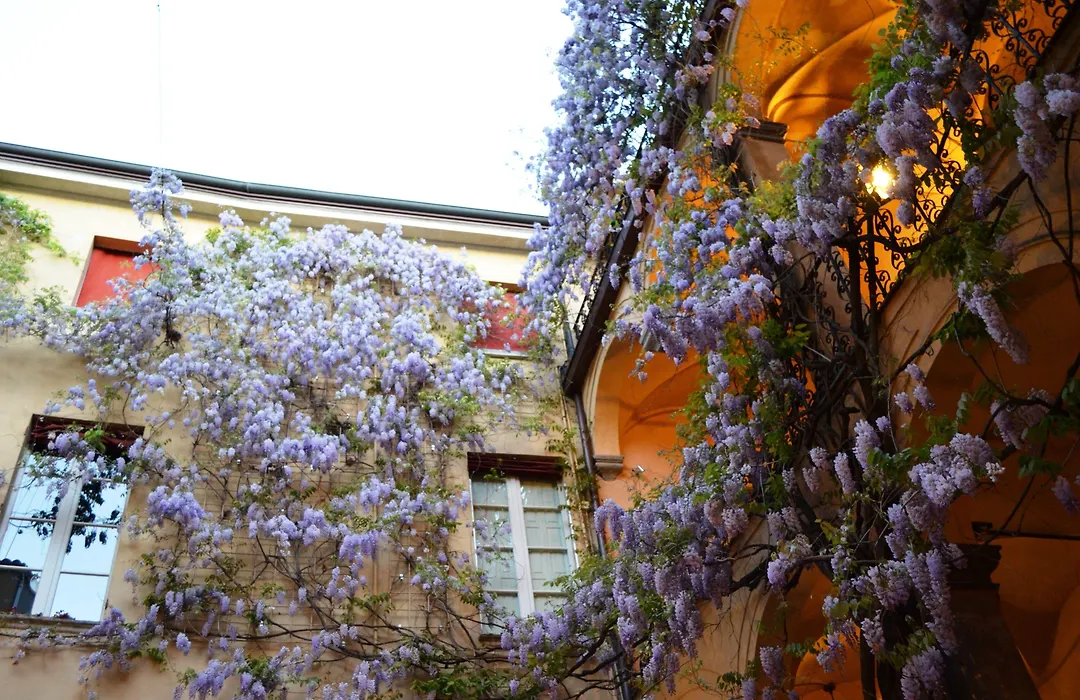 Palazzo Dalla Rosa Prati-1