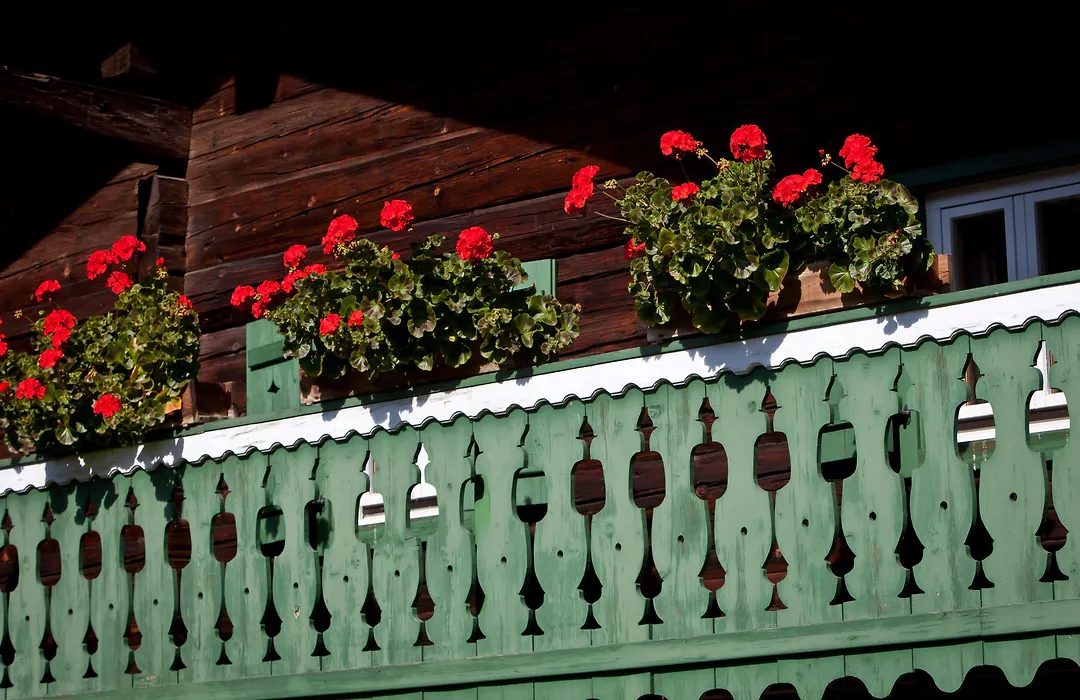 Hotel Gasthof Mitteregger -Best Place In Town With Summercard And Breakfast-1