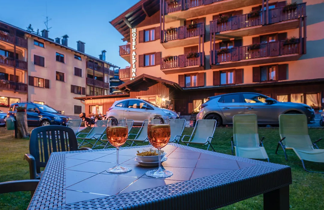 Hotel Alpina-1
