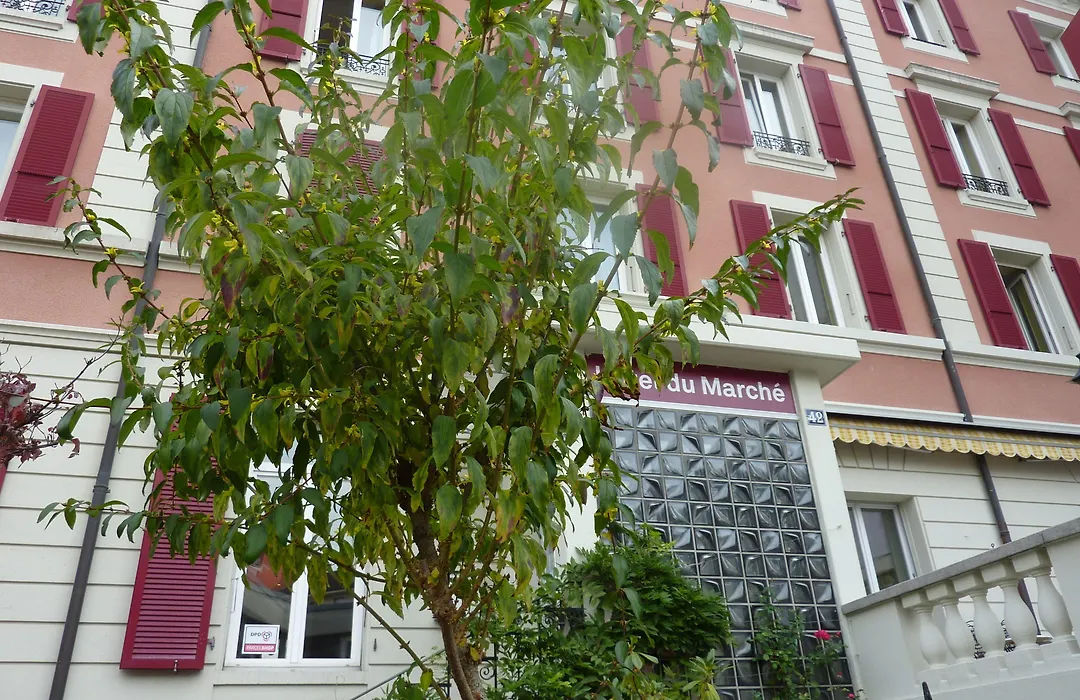 Hotel Du Marche-1