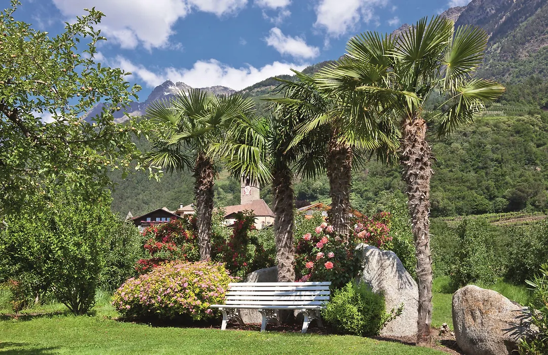 Ruster Resort-1
