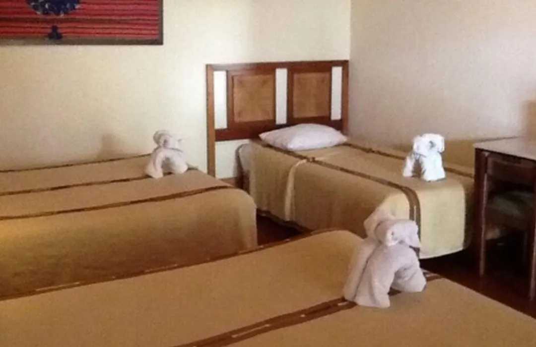 Regis Hotel Spa-1
