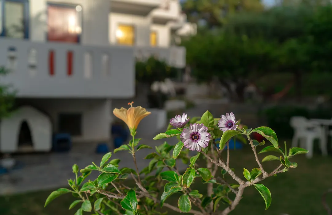 Plakias Bay Hotel-1