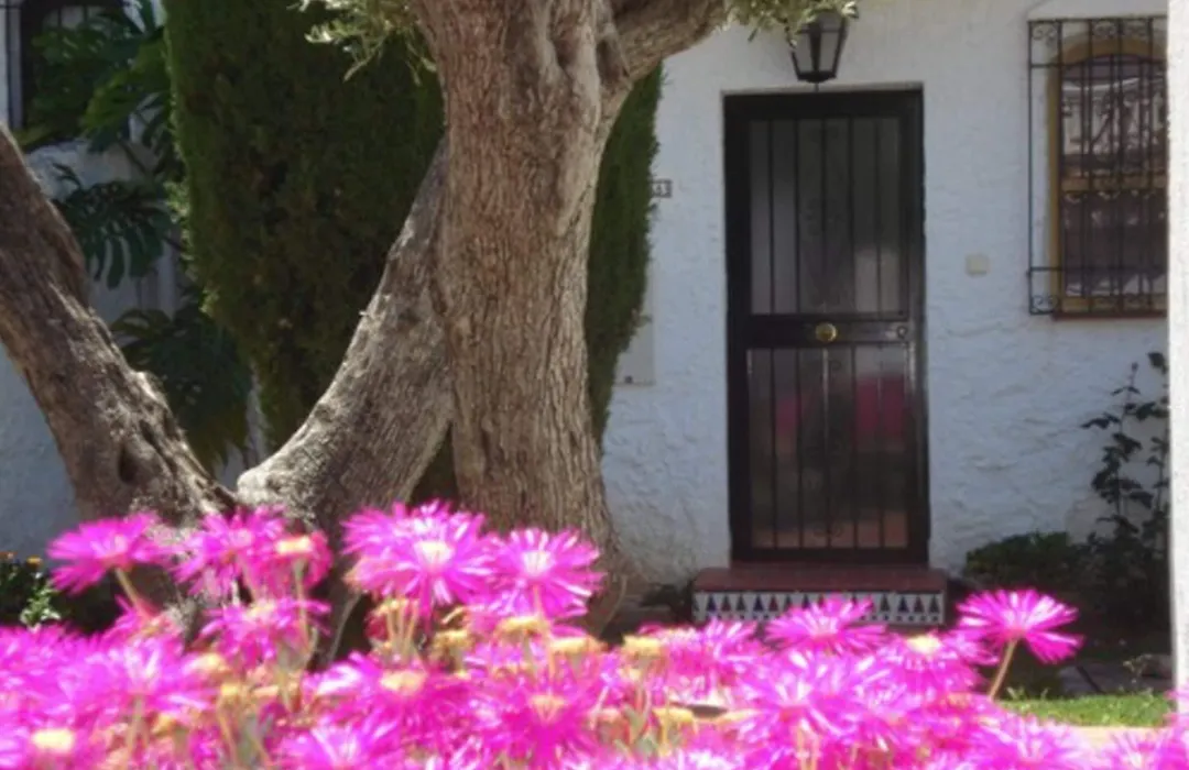 El Capistrano Sur-1