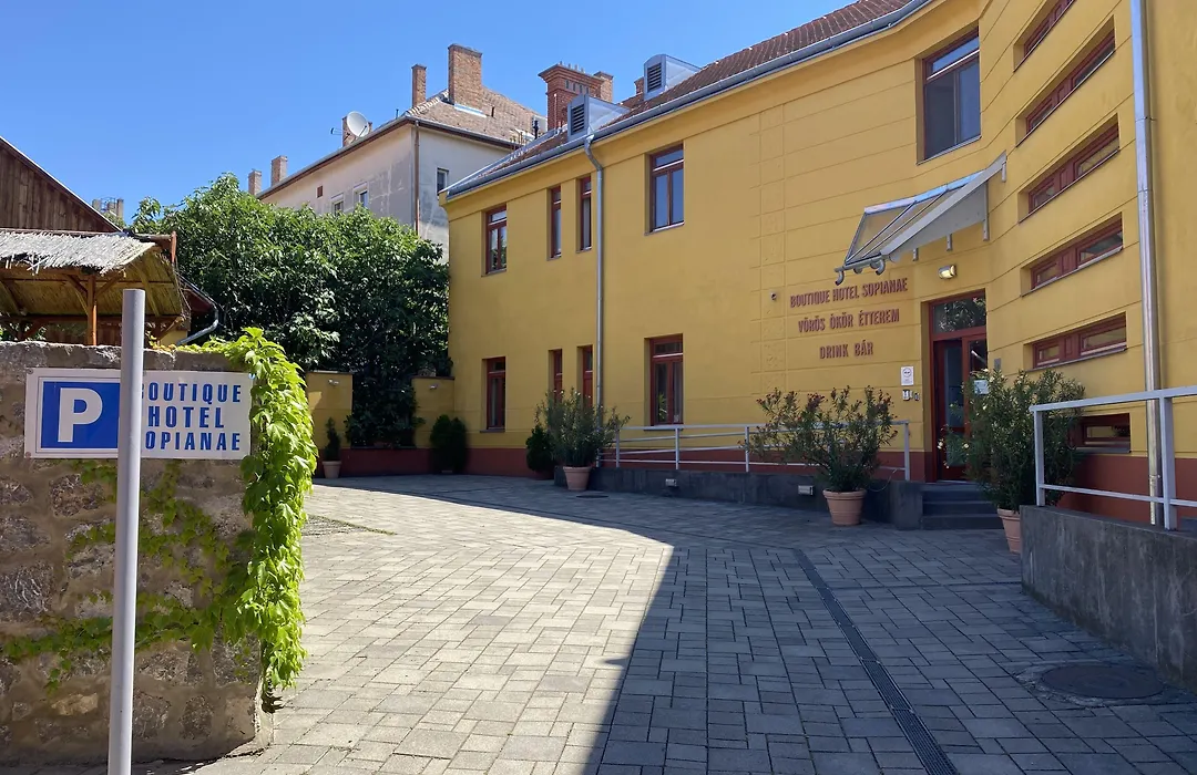 Boutique Hotel Sopianae-1