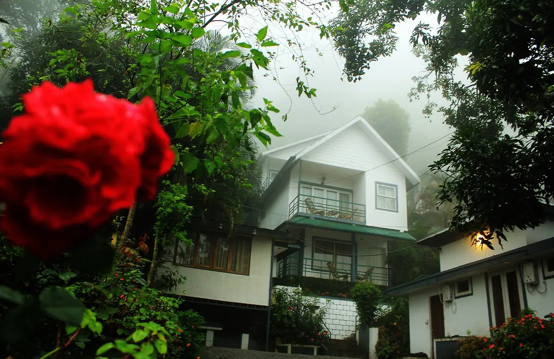 Bellavista Resort Munnar-1