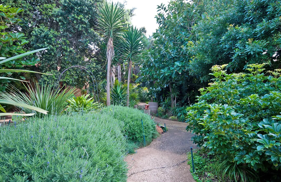 Singa Lodge - Lion Roars Hotels & Lodges-1
