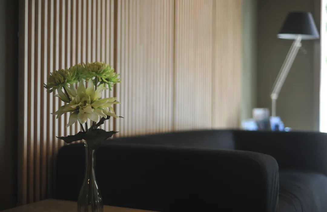 Md Modern Hotel - Jardines-1