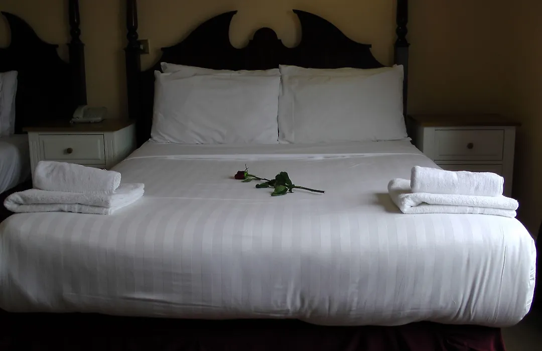 Shamrock Inn Hotel-1