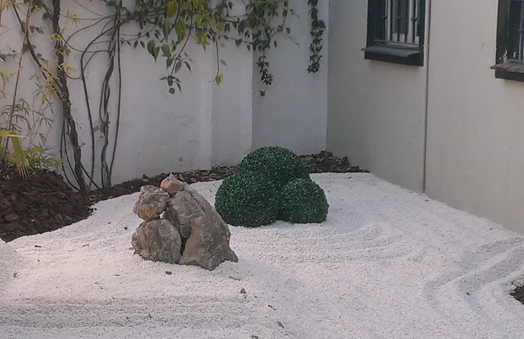 Hotel Domus-1