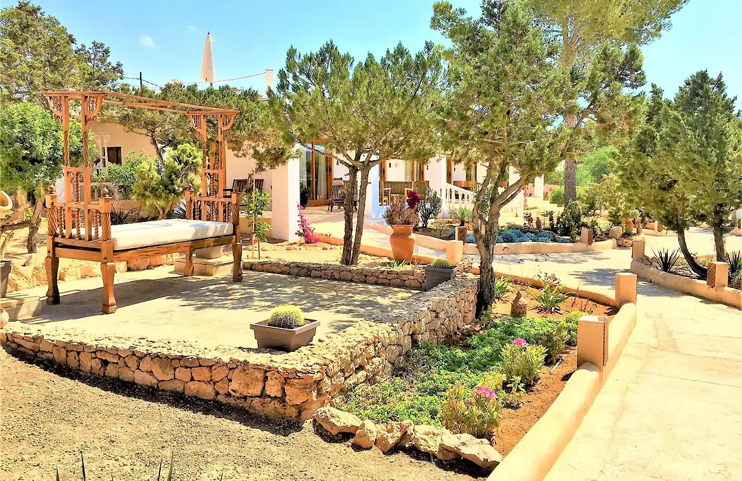 Petunia Ibiza (Adults Only)-1