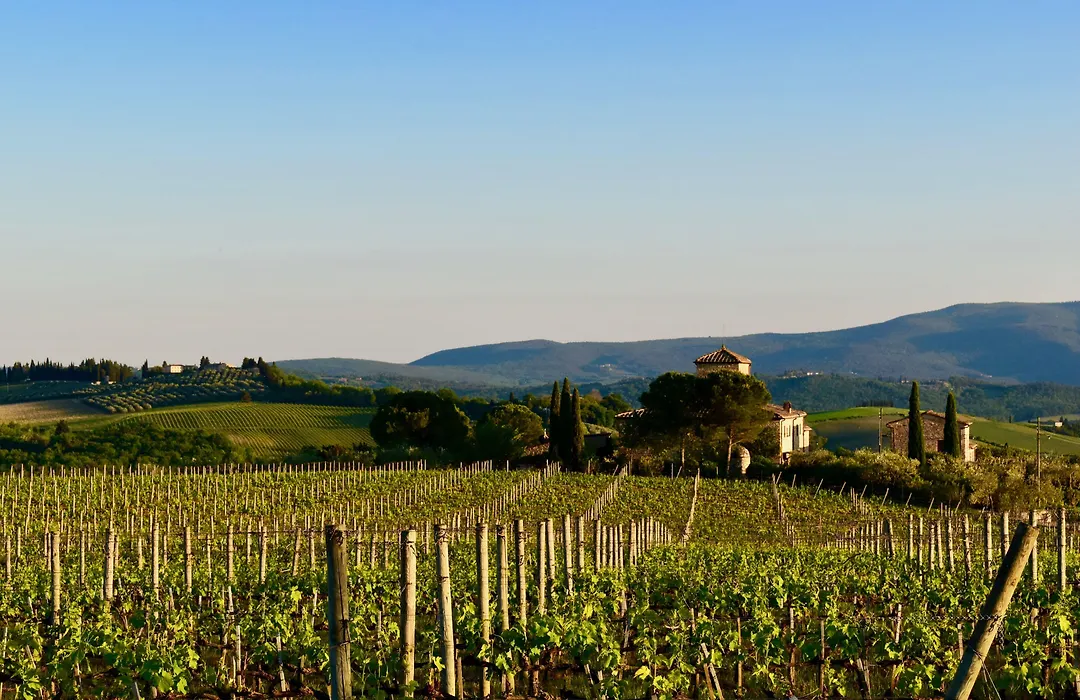Locanda Le Piazze-1