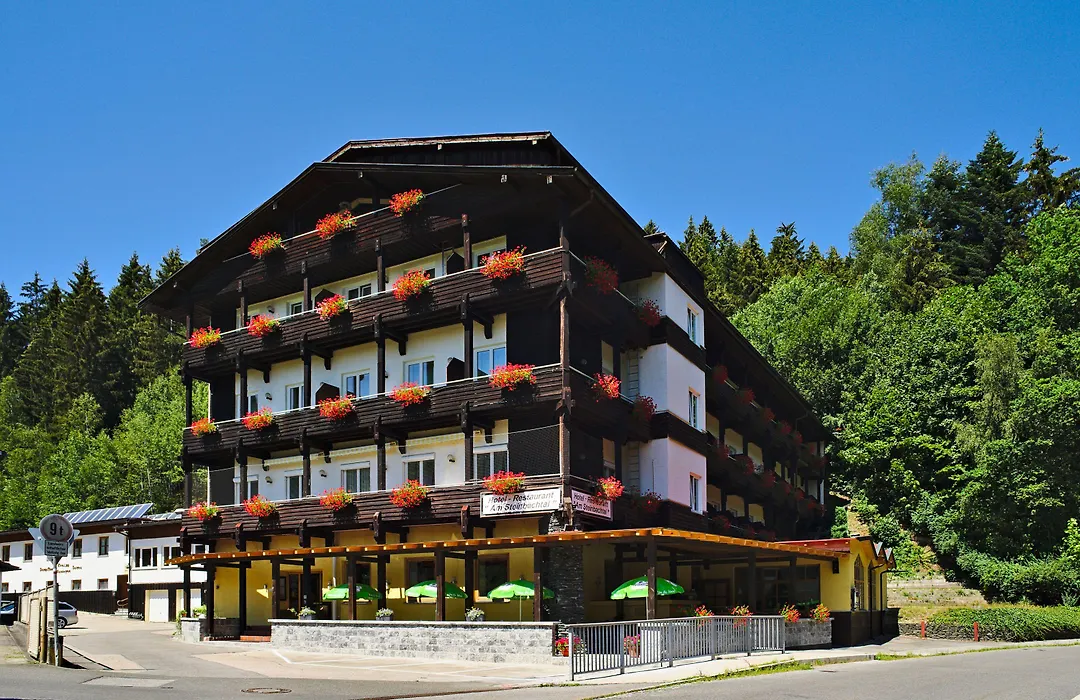 Natur- und Wanderhotel am Steinbachtal-1