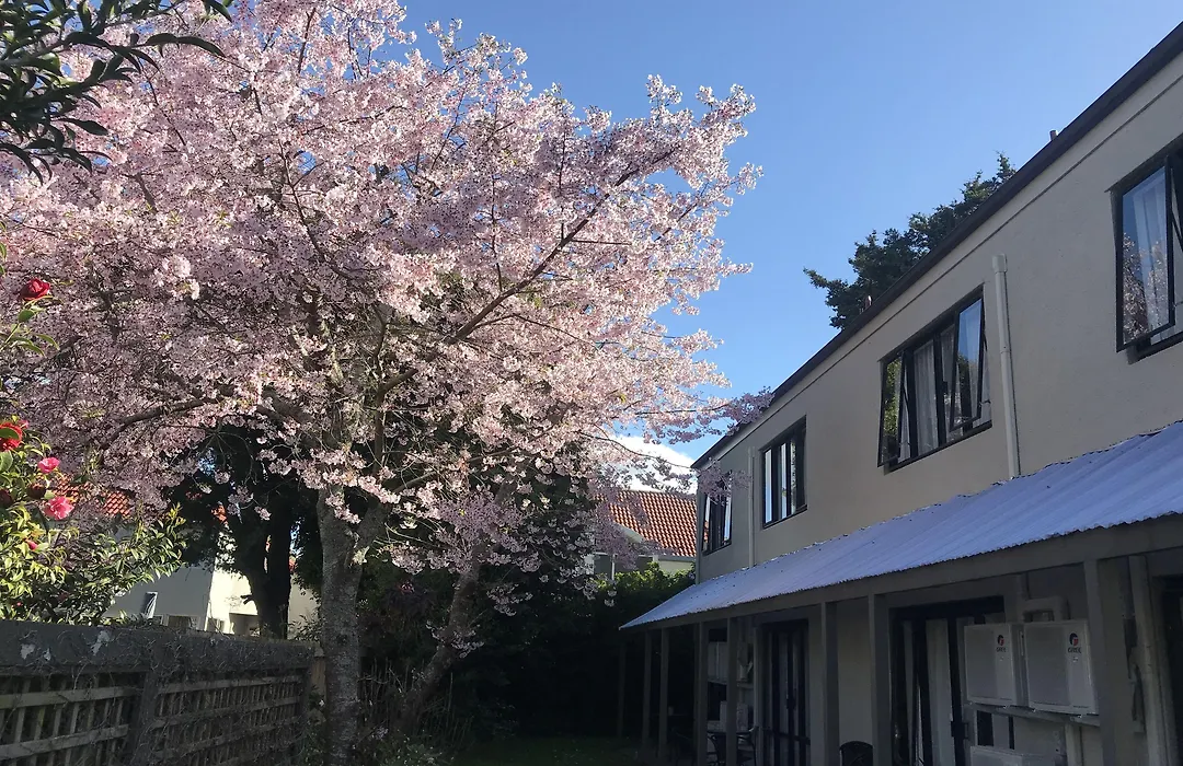 Royal Park Lodge-1