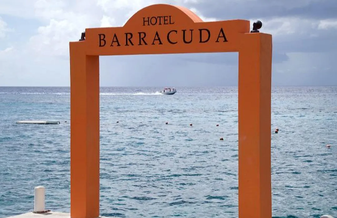 Hotel Barracuda-1