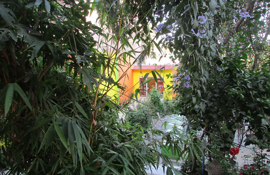 Hotel Zen-1