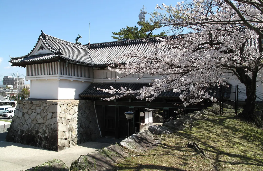 Apa Hotel Saga Ekimae Chuo-1