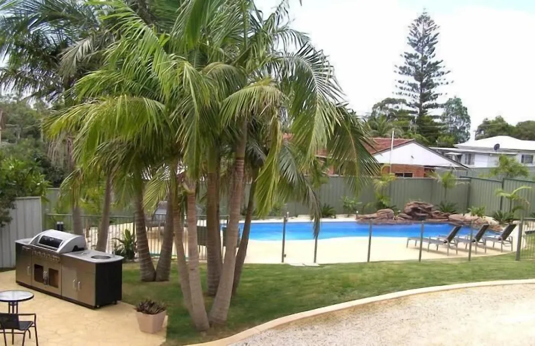 Koala Tree Motel-1