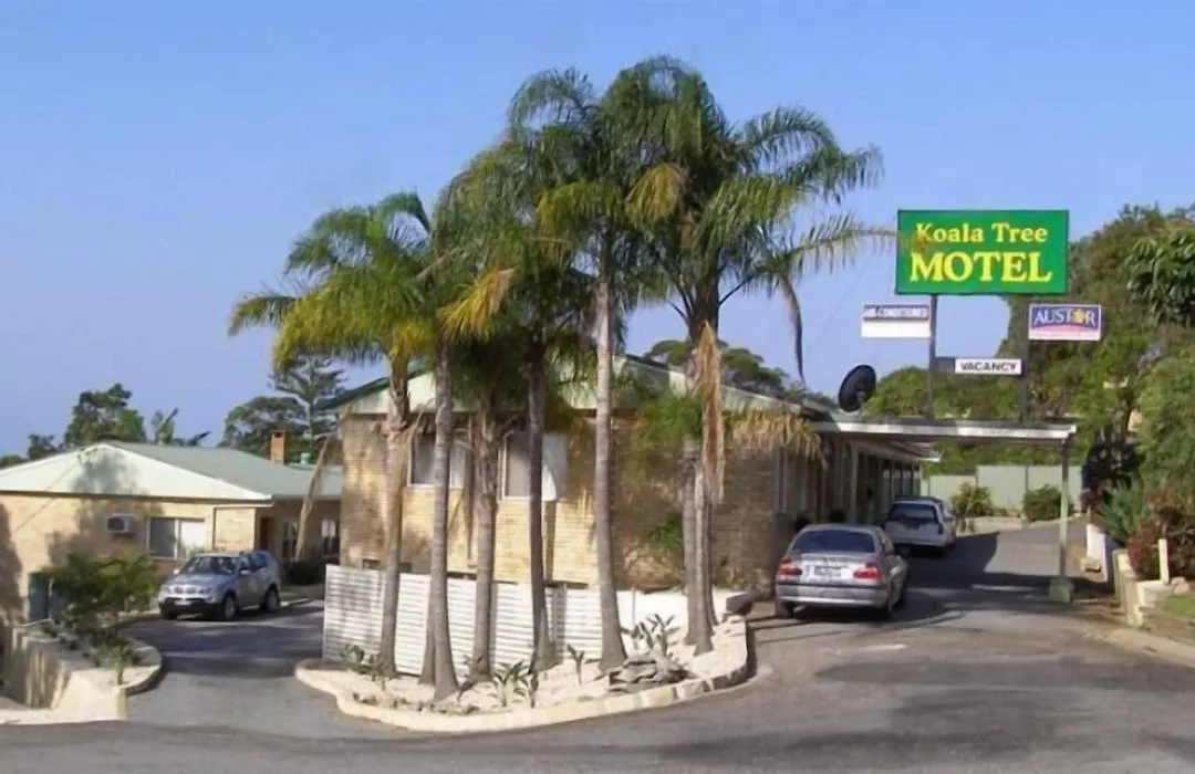Koala Tree Motel-1