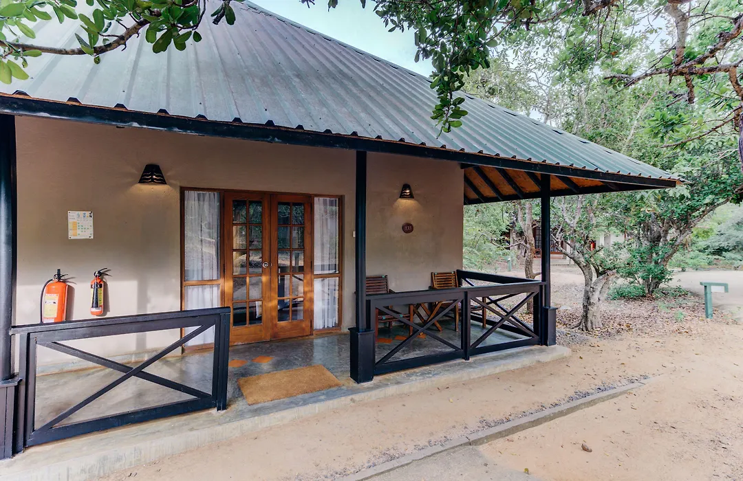 Cinnamon Wild Yala-1