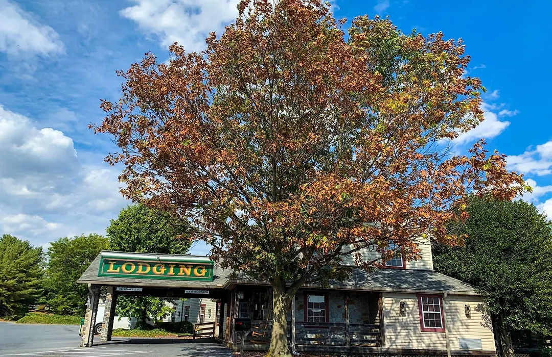 The Country Inn Of Lancaster-1