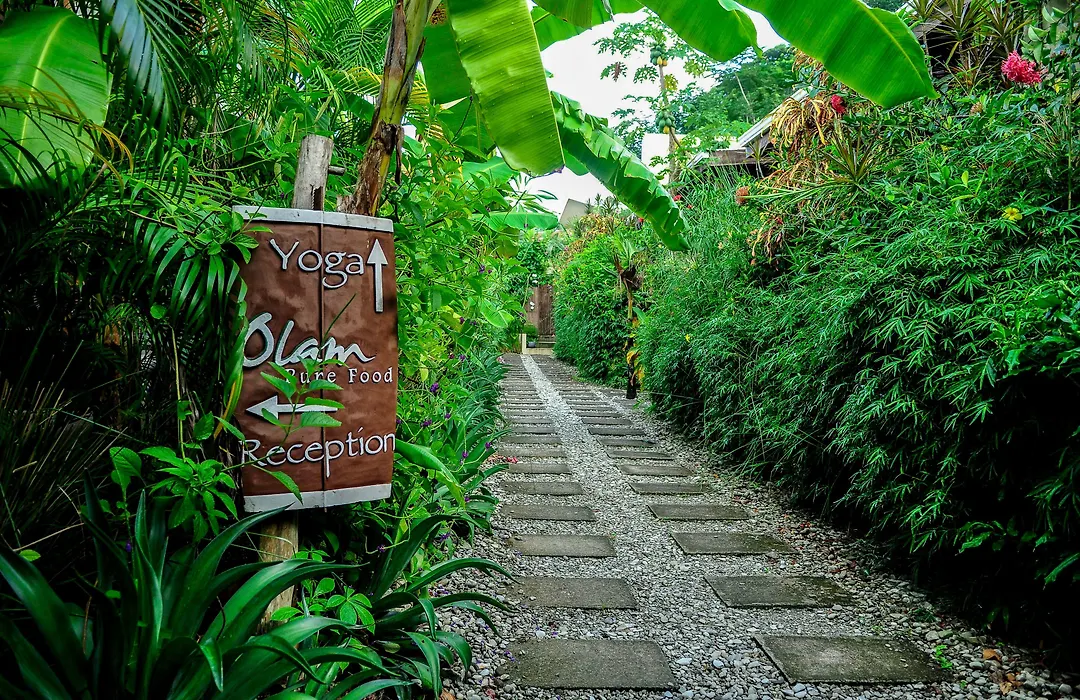 Nautilus Surf & Yoga Villas Santa Teresa-1