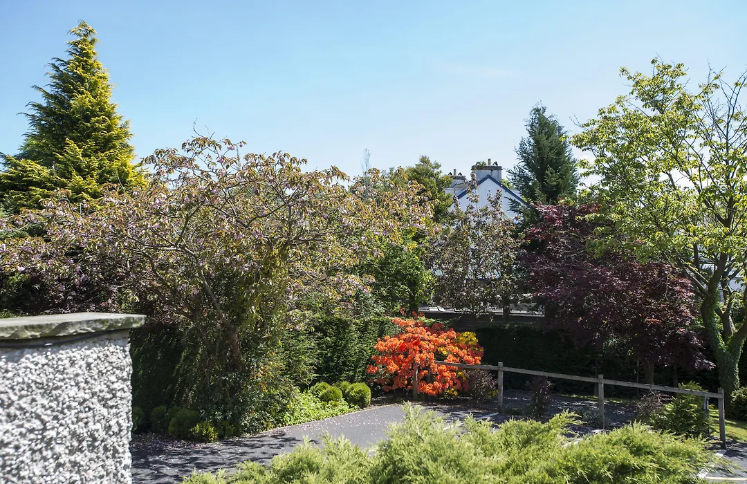 Windermere Suites-1