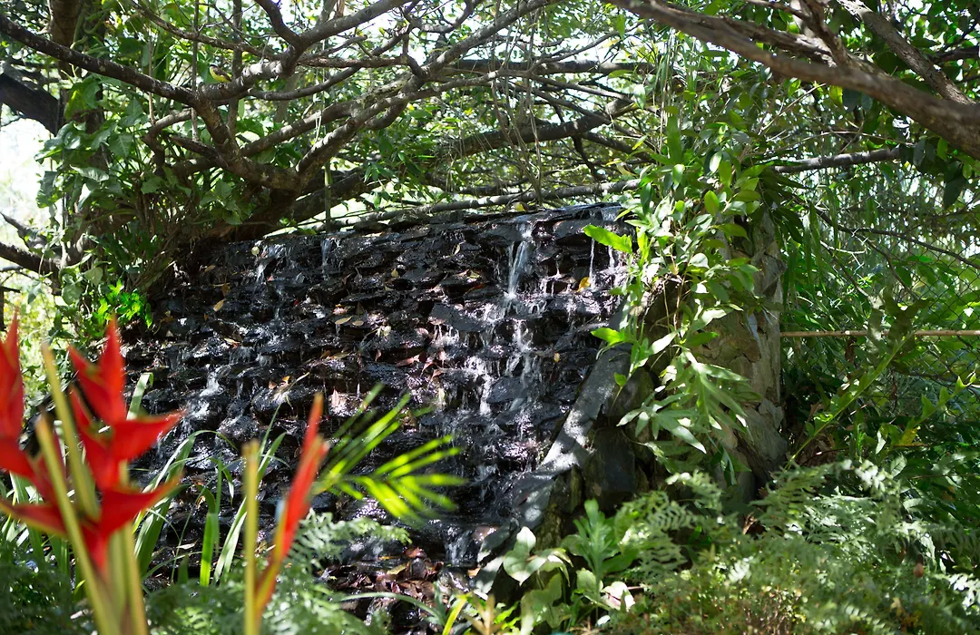 Eco Torarica-1