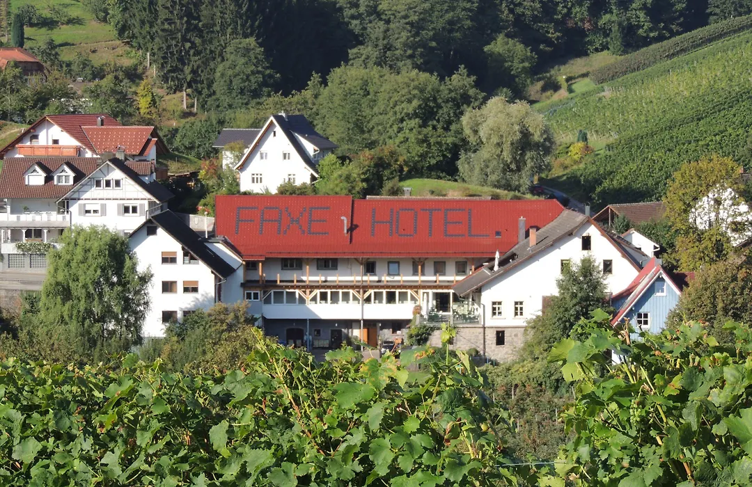 Hotel Faxe Schwarzwaelder Hof-1