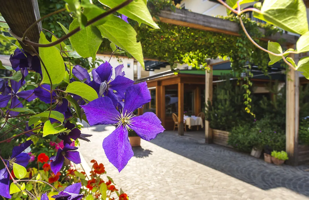 Hotel Drumlerhof-1