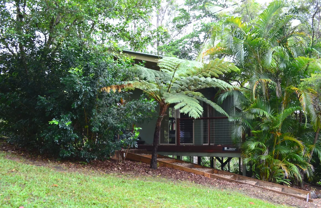 Kondalilla Eco Resort-1