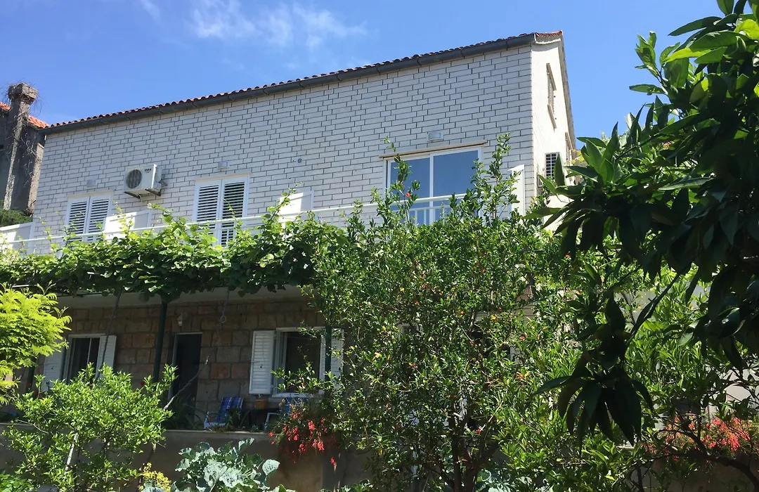 Jele Rooms-1