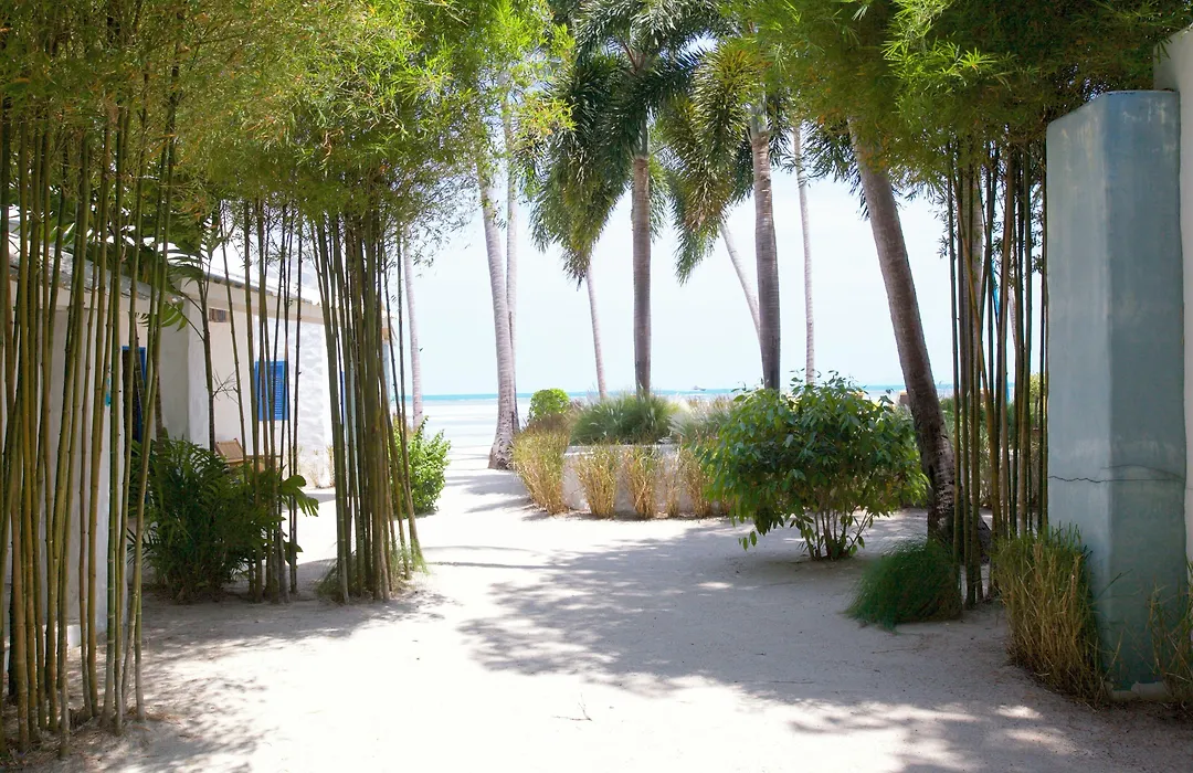 Lime N Soda Beachfront Resort-1