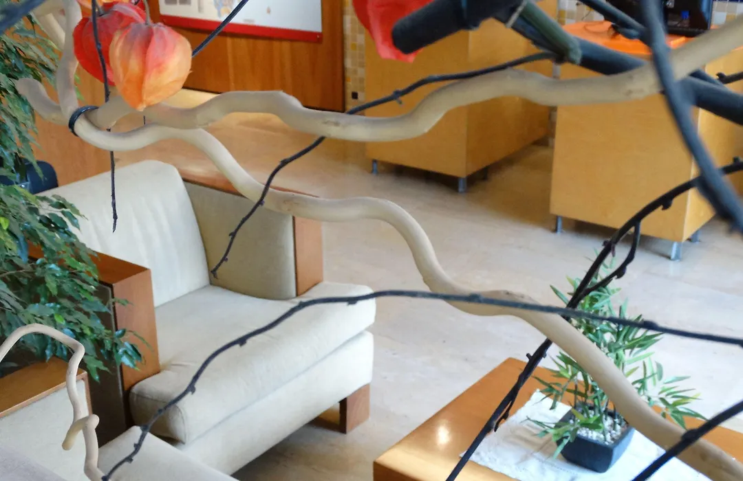 Hotel Rambla Figueres-1