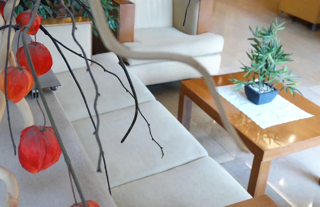 Hotel Rambla Figueres-1