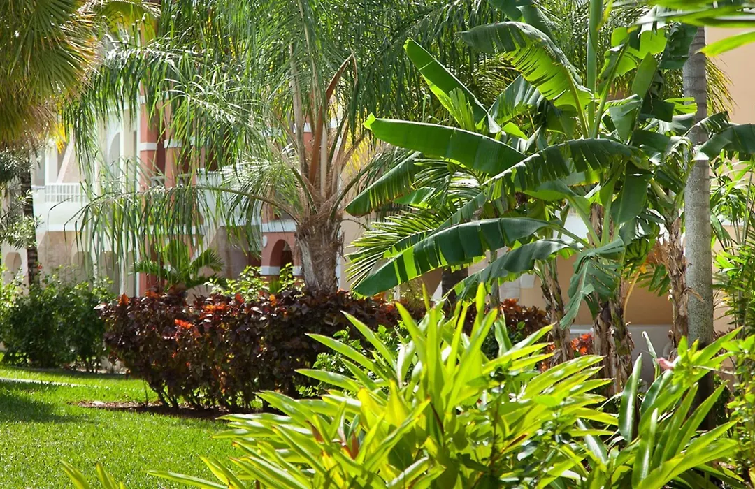 The Marlin At Taino Beach Resort-1