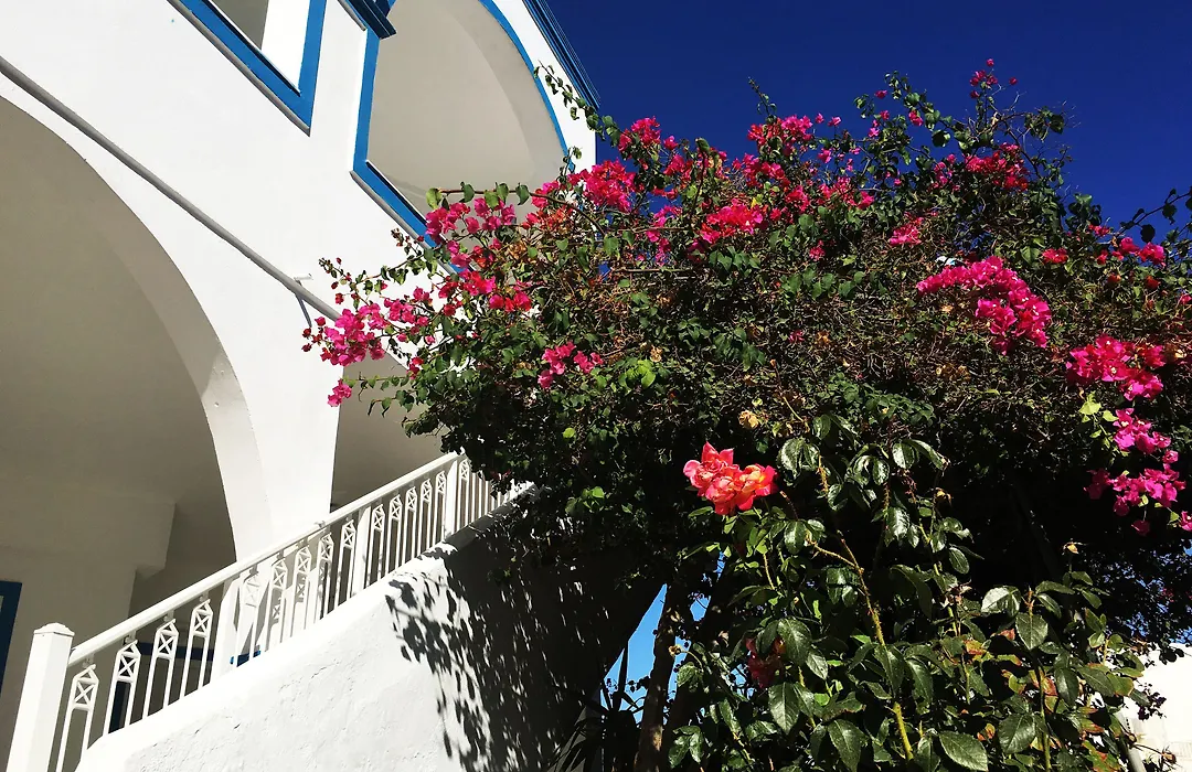 Hotel Lodos-1