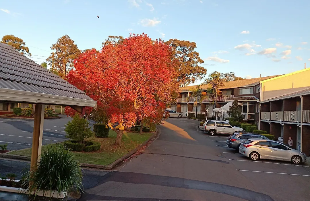 Molly Morgan Motor Inn-1
