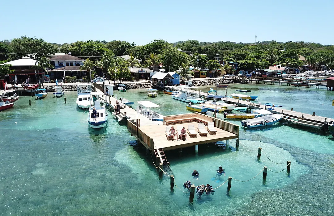 Splash Inn Dive Resort & Villas-1