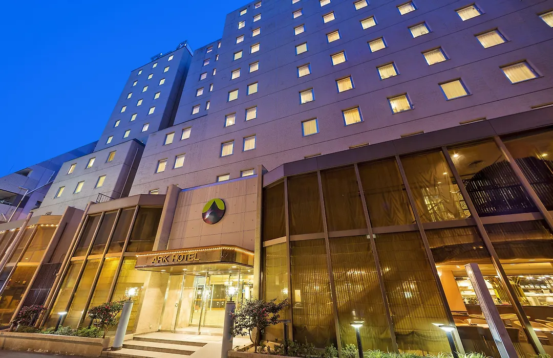 Ark Hotel Osaka Shinsaibashi -Route Inn Hotels--1