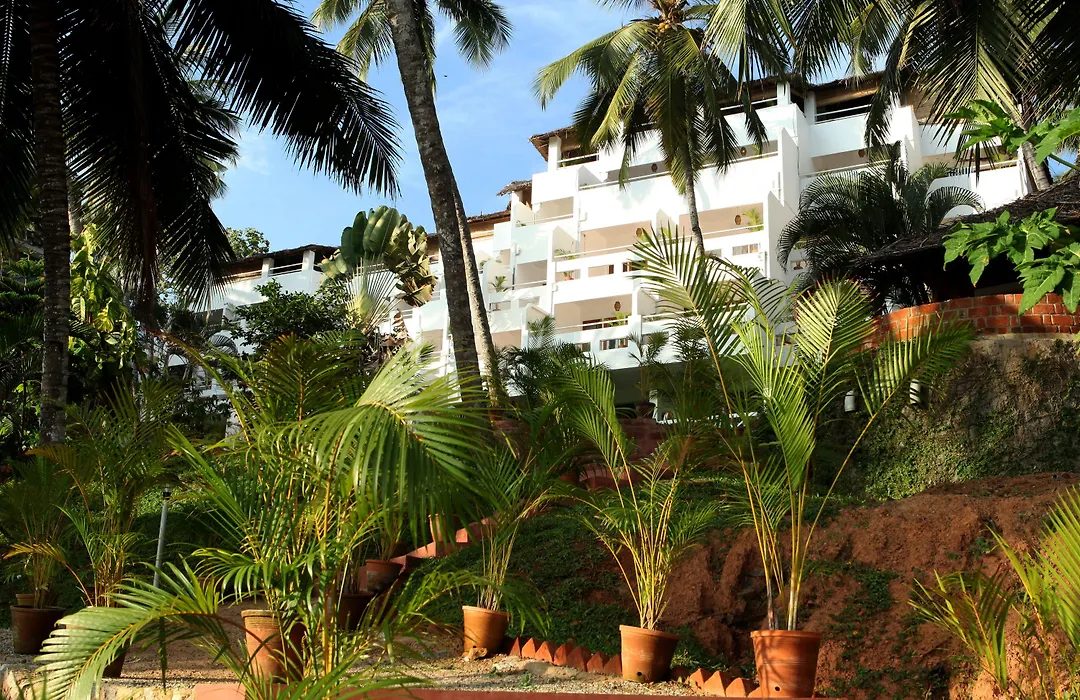 Soma Palmshore-1