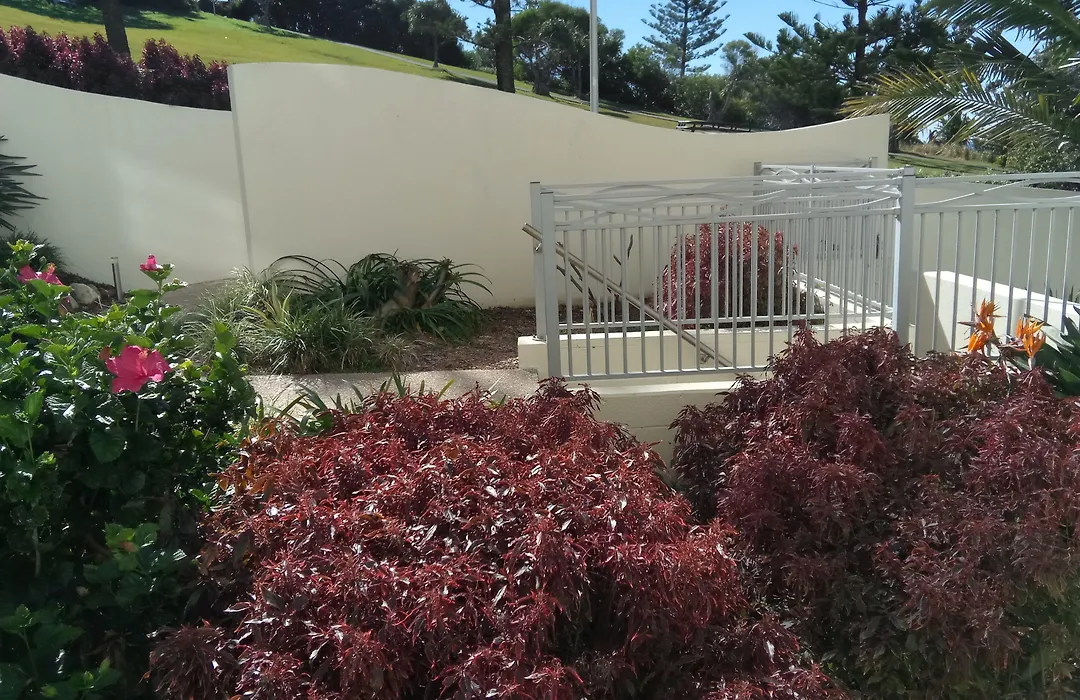 Blue C Coolangatta-1