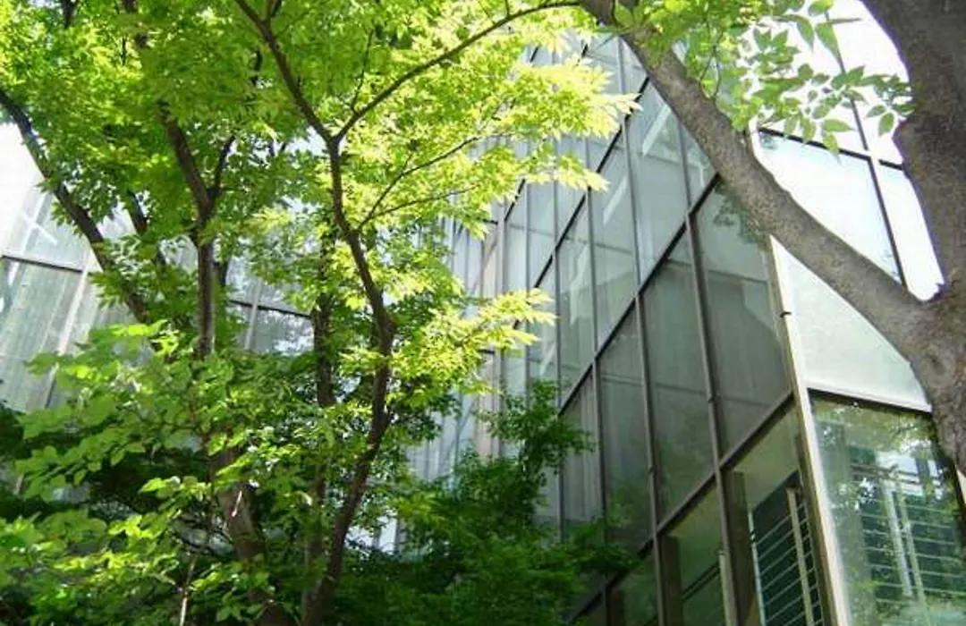 Ark Hotel Royal Fukuoka Tenjin -Route Inn Hotels--1