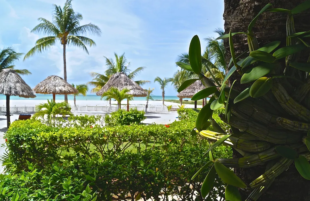 Hotel Puerto Holbox Beach Front-1