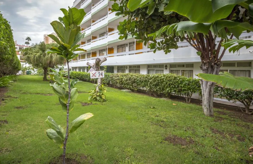 Tagoror Beach Apartments - Adults Only-1