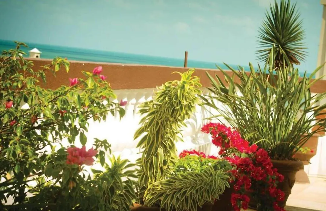 Algarve Praia Hotel-1