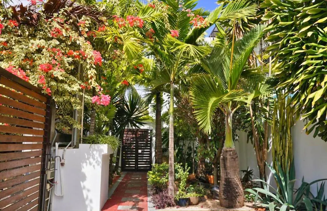 Villa Alizée Boutique Hotel - Idéal Couples&Pros - Rooftop - Parking privé - 10min Port-Louis-1