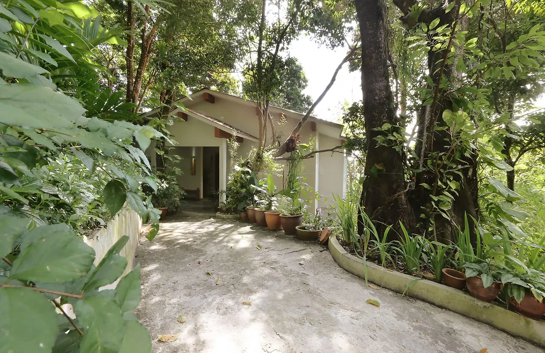 Ambong Rainforest Retreat-1